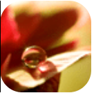 雨滴壁纸手机软件app