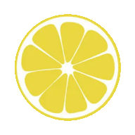 limon v6手机软件app