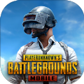 PUBG群星直装手机软件app