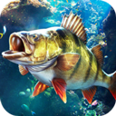  杰瑞米瓦德钓鱼手游手游app