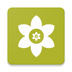 安装狮手机软件app