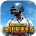 PUBG MOBILE3.4版本手游app