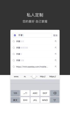 绿叶浏览器截图