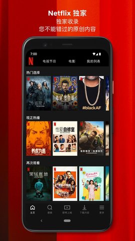 Netflix截图