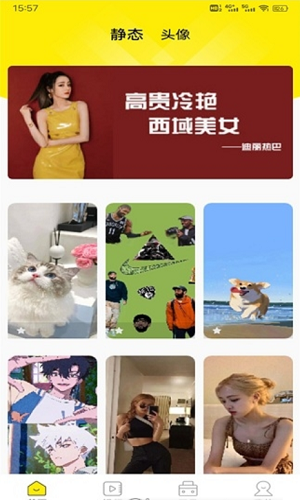 四季视频壁纸截图