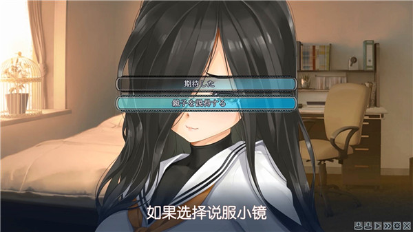 美少女万华镜4截图