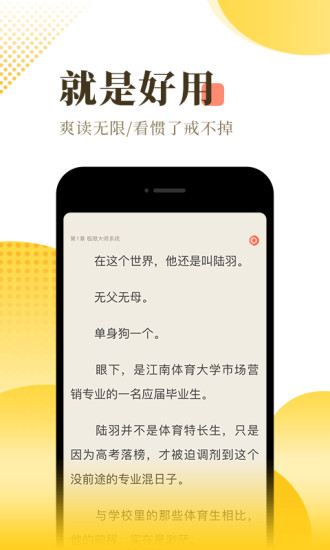 飘零小说无广告无弹窗app截图