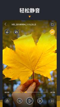 Video Player截图
