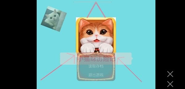 小猫咪历险记截图