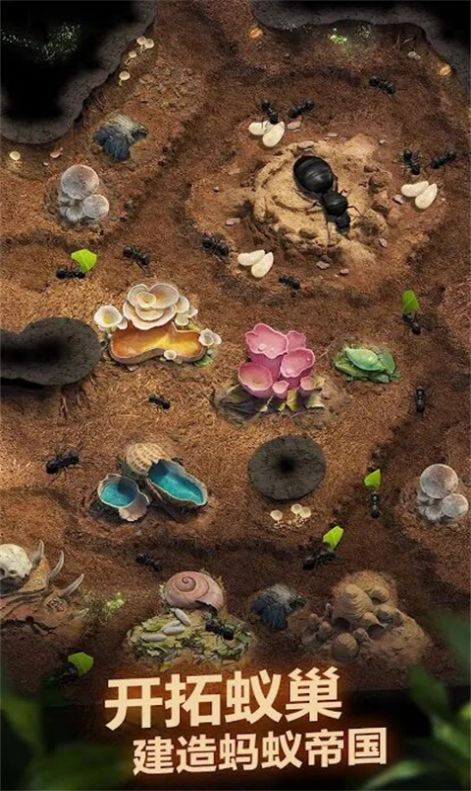 荒野蚂蚁模拟截图