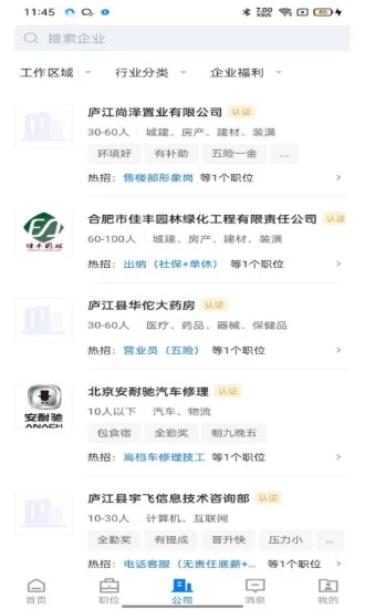 魅力庐江人才网截图