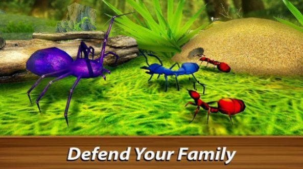 蚁族崛起：神树之战截图
