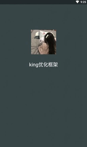 king优化框架截图