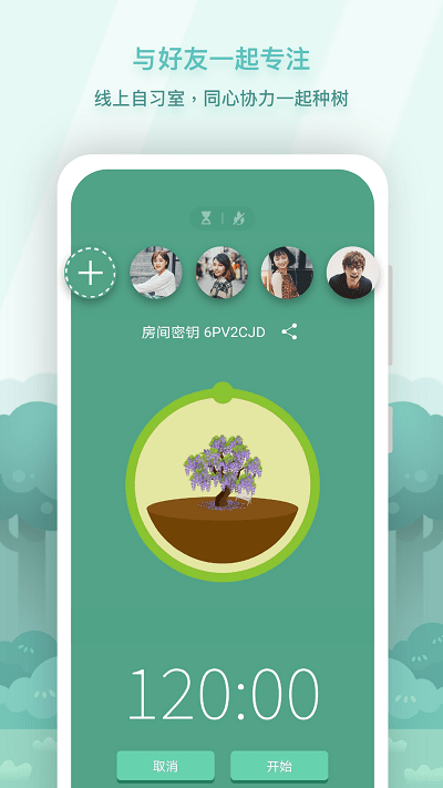 forest专注树林截图