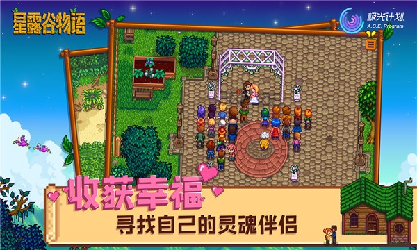 stardew valley联机截图