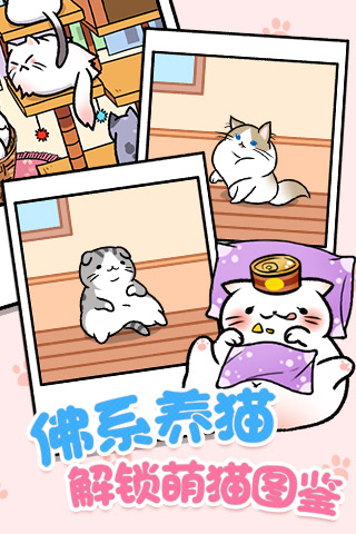 猫咪公寓截图