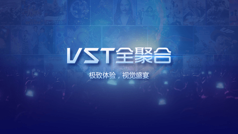 vst全聚合apk永不升级截图