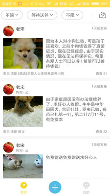 宠物领养截图