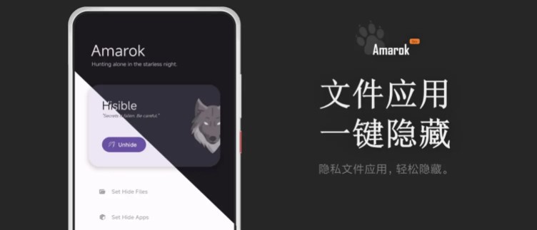 Amarok开源版截图