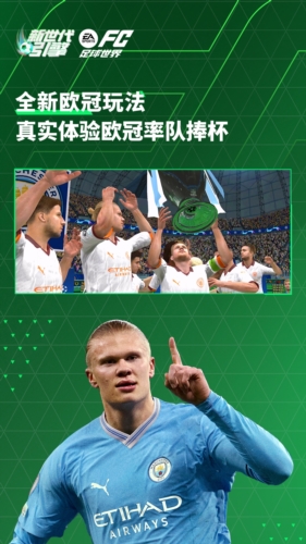 fifa足球世界国际服截图