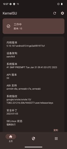 kernelsu中文版截图