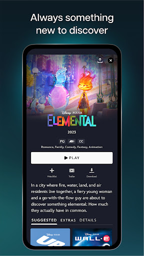 Disney+tv版截图