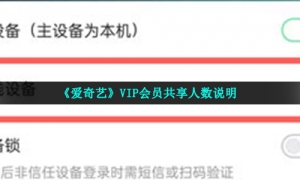 《爱奇艺》VIP会员共享人数说明