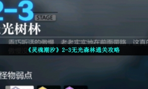 《灵魂潮汐》2-3无光森林通关攻略