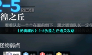 《灵魂潮汐》2-5彷徨之丘通关攻略