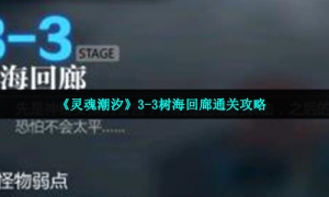 《灵魂潮汐》3-3树海回廊通关攻略