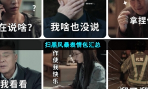 扫黑风暴表情包汇总