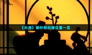 《光遇》婚纱照拍摄位置一览