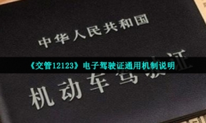 《交管12123》电子驾驶证通用机制说明
