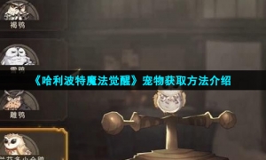《哈利波特魔法觉醒》宠物获取方法介绍
