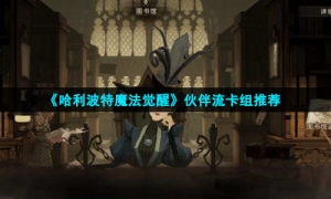 《哈利波特魔法觉醒》伙伴流卡组推荐