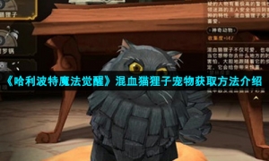 《哈利波特魔法觉醒》混血猫狸子宠物获取方法介绍