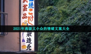 2021年高级又小众的情绪文案大全