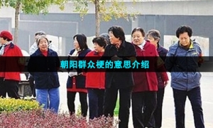 朝阳群众梗的意思介绍