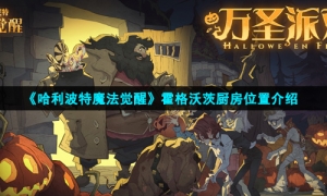 《哈利波特魔法觉醒》霍格沃茨厨房位置介绍