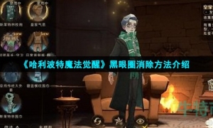 《哈利波特魔法觉醒》黑眼圈消除方法介绍