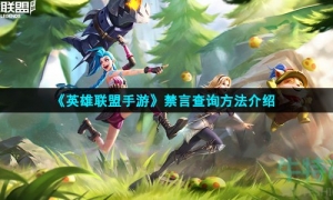 《英雄联盟手游》禁言查询方法介绍
