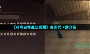 《哈利波特魔法觉醒》变形咒卡牌介绍