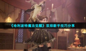 《哈利波特魔法觉醒》双排新手技巧分享