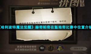 《哈利波特魔法觉醒》赫奇帕奇在魁地奇比赛中位置介绍