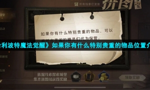 《哈利波特魔法觉醒》如果你有什么特别贵重的物品位置介绍