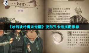 《哈利波特魔法觉醒》变形咒卡组搭配推荐