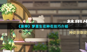 《原神》梦里生花种花技巧介绍