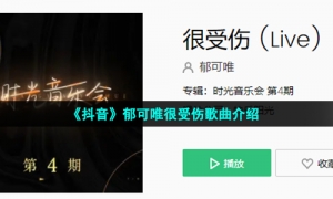 《抖音》郁可唯很受伤歌曲介绍