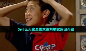 为什么大家总喜欢说刘星家原因介绍