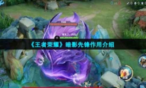 《王者荣耀》暗影先锋作用介绍